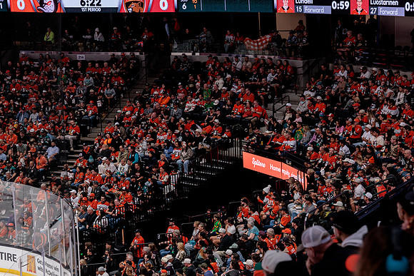 100426_ANAHEIM_DUCKS_RMR18941