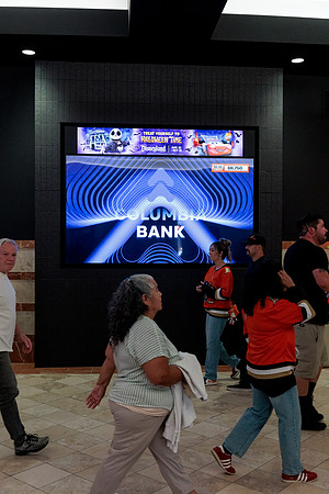 100426_ANAHEIM_DUCKS_RMR13804