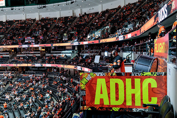 100426_ANAHEIM_DUCKS_RMR15586