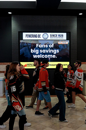100426_ANAHEIM_DUCKS_RMR14717