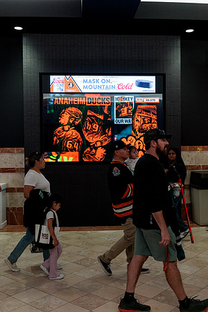 100426_ANAHEIM_DUCKS_RMR13219