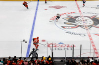 100426_ANAHEIM_DUCKS_RMR16911