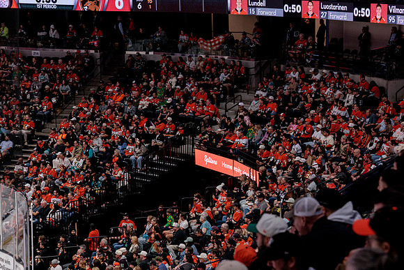 100426_ANAHEIM_DUCKS_RMR18936