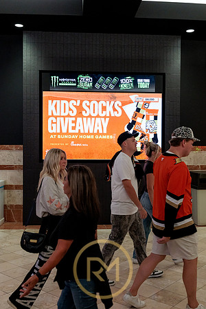 100426_ANAHEIM_DUCKS_RMR11954