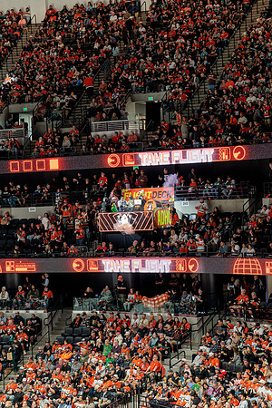 100426_ANAHEIM_DUCKS_RMR16639