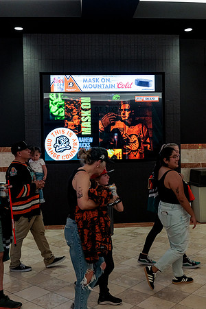 100426_ANAHEIM_DUCKS_RMR13203