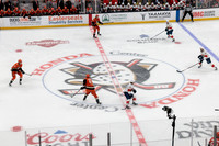 100426_ANAHEIM_DUCKS_RMR16925