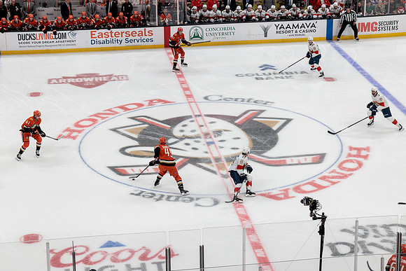 100426_ANAHEIM_DUCKS_RMR16925