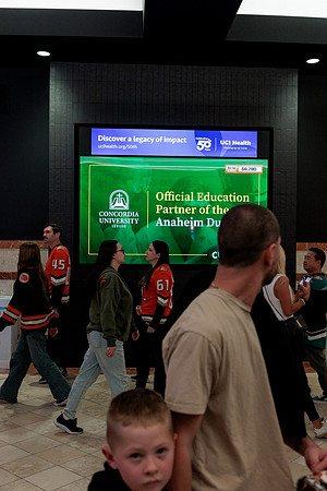 100426_ANAHEIM_DUCKS_RMR14560