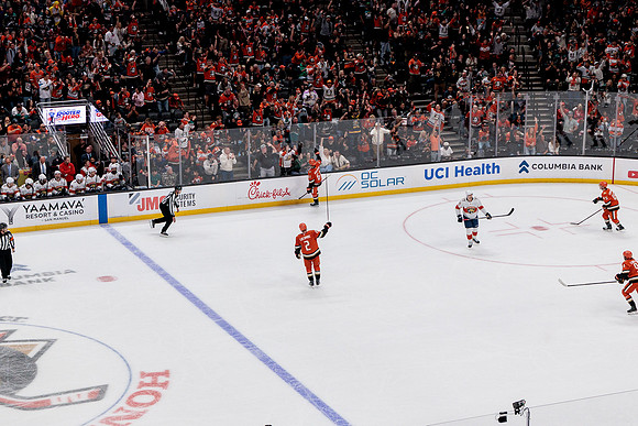100426_ANAHEIM_DUCKS_RMR19827