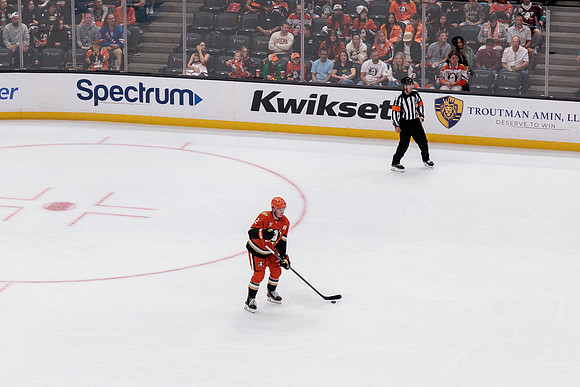100426_ANAHEIM_DUCKS_RMR10186