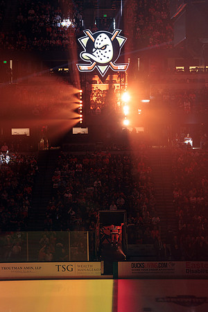 100426_ANAHEIM_DUCKS_RMR16297