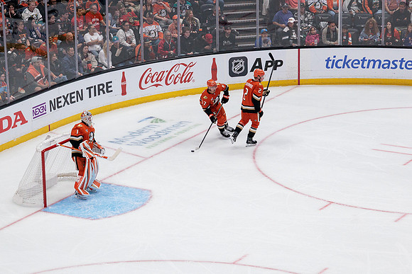 100426_ANAHEIM_DUCKS_RMR18408