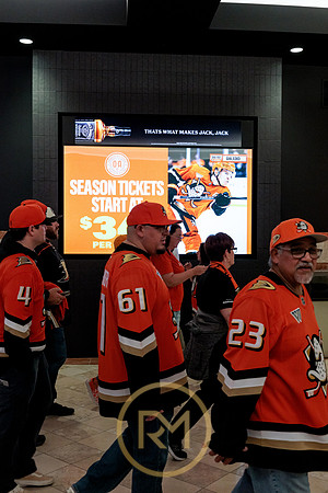 100426_ANAHEIM_DUCKS_RMR11986