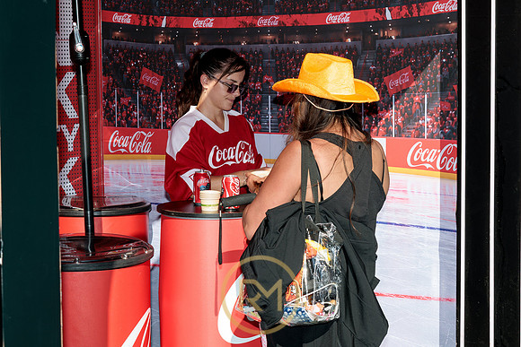 100426_ANAHEIM_DUCKS_RMR11377