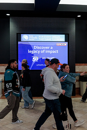 100426_ANAHEIM_DUCKS_RMR13943