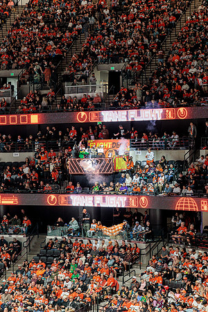 100426_ANAHEIM_DUCKS_RMR16667
