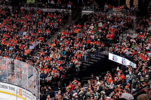 100426_ANAHEIM_DUCKS_RMR12856
