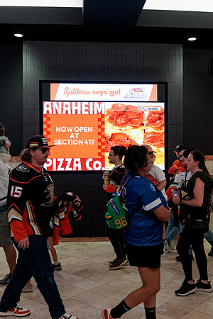 100426_ANAHEIM_DUCKS_RMR12657
