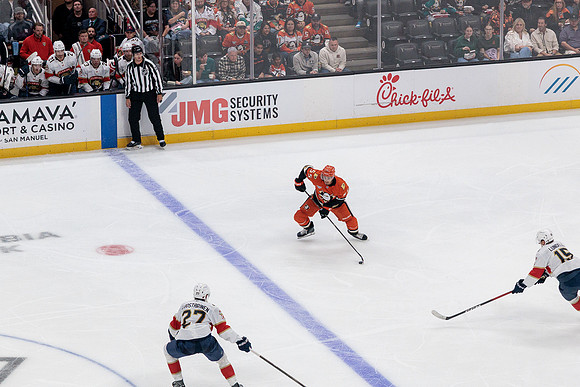 100426_ANAHEIM_DUCKS_RMR11755