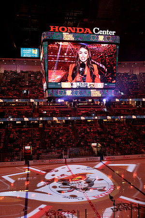 100426_ANAHEIM_DUCKS_RMR15734