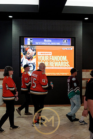 100426_ANAHEIM_DUCKS_RMR12274