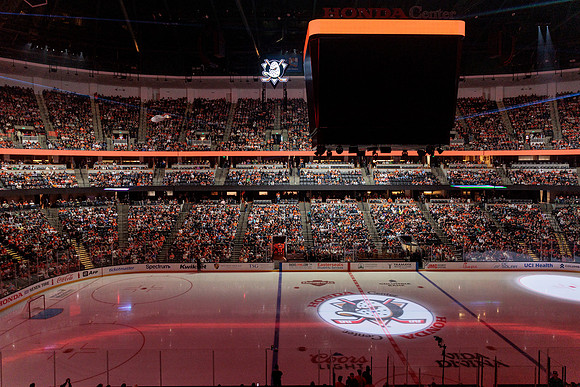 100426_ANAHEIM_DUCKS_RMR16169
