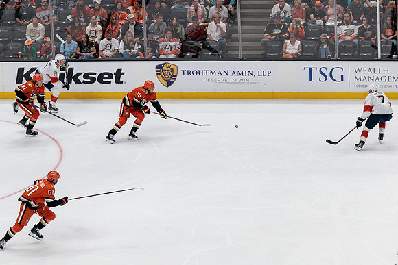100426_ANAHEIM_DUCKS_RMR17445