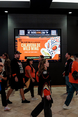 100426_ANAHEIM_DUCKS_RMR12976