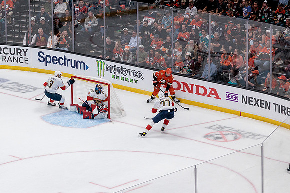 100426_ANAHEIM_DUCKS_RMR10305
