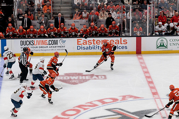 100426_ANAHEIM_DUCKS_RMR11914A