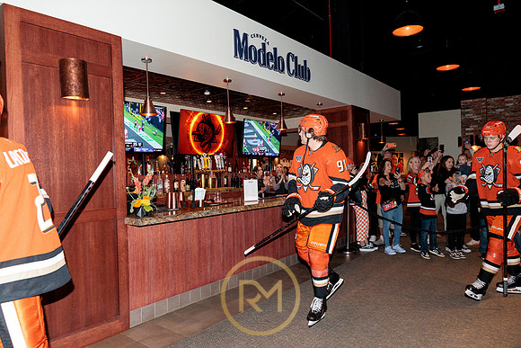 100426_ANAHEIM_DUCKS_RMR15130