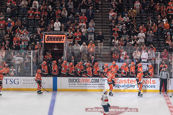 100426_ANAHEIM_DUCKS_RMR11138