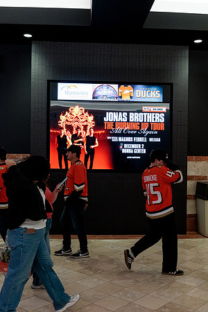 100426_ANAHEIM_DUCKS_RMR14942