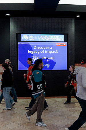 100426_ANAHEIM_DUCKS_RMR13957