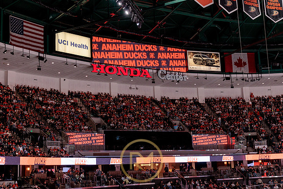 100426_ANAHEIM_DUCKS_RMR17887