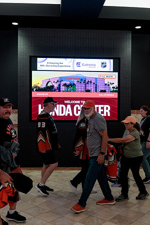 100426_ANAHEIM_DUCKS_RMR13351
