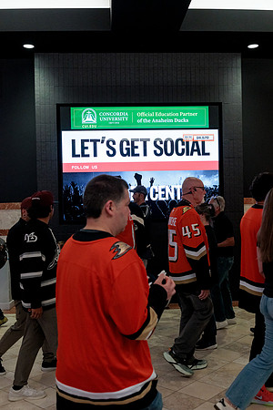 100426_ANAHEIM_DUCKS_RMR13423