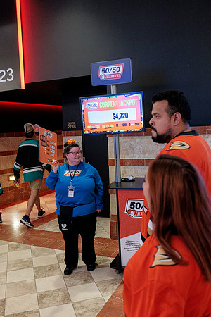 100426_ANAHEIM_DUCKS_RMR11522