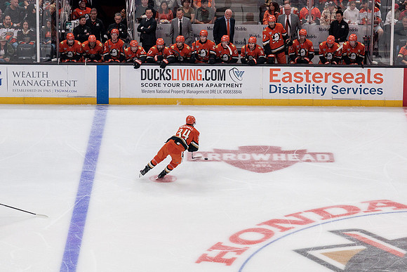 100426_ANAHEIM_DUCKS_RMR11504