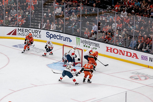 100426_ANAHEIM_DUCKS_RMR19274