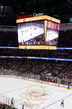 041325_ANAHEIM_DUCKS_193