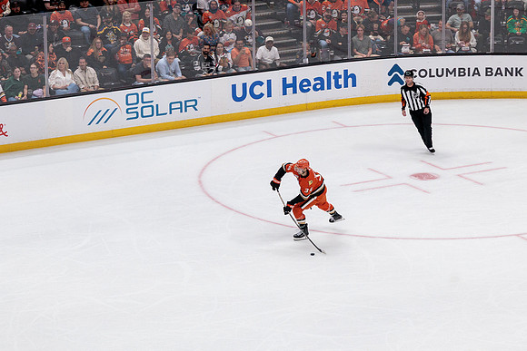 100426_ANAHEIM_DUCKS_RMR12551