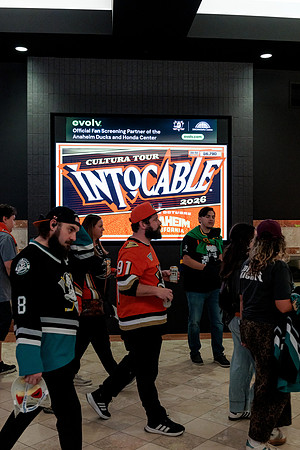100426_ANAHEIM_DUCKS_RMR14515