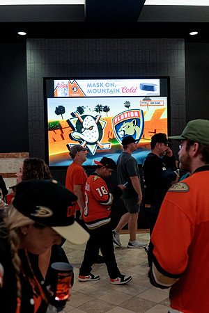 100426_ANAHEIM_DUCKS_RMR13177