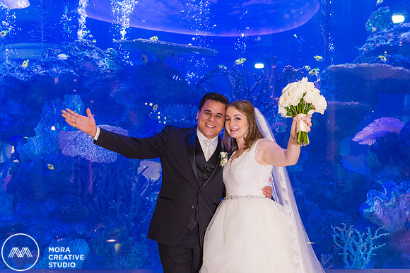 WEDDING_111415_01219