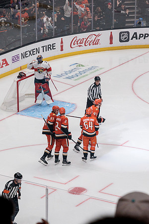 100426_ANAHEIM_DUCKS_RMR11083