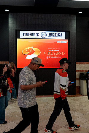 100426_ANAHEIM_DUCKS_RMR14671