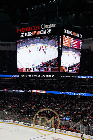 041325_ANAHEIM_DUCKS_174