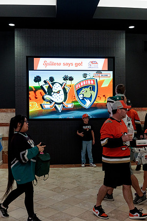 100426_ANAHEIM_DUCKS_RMR12640